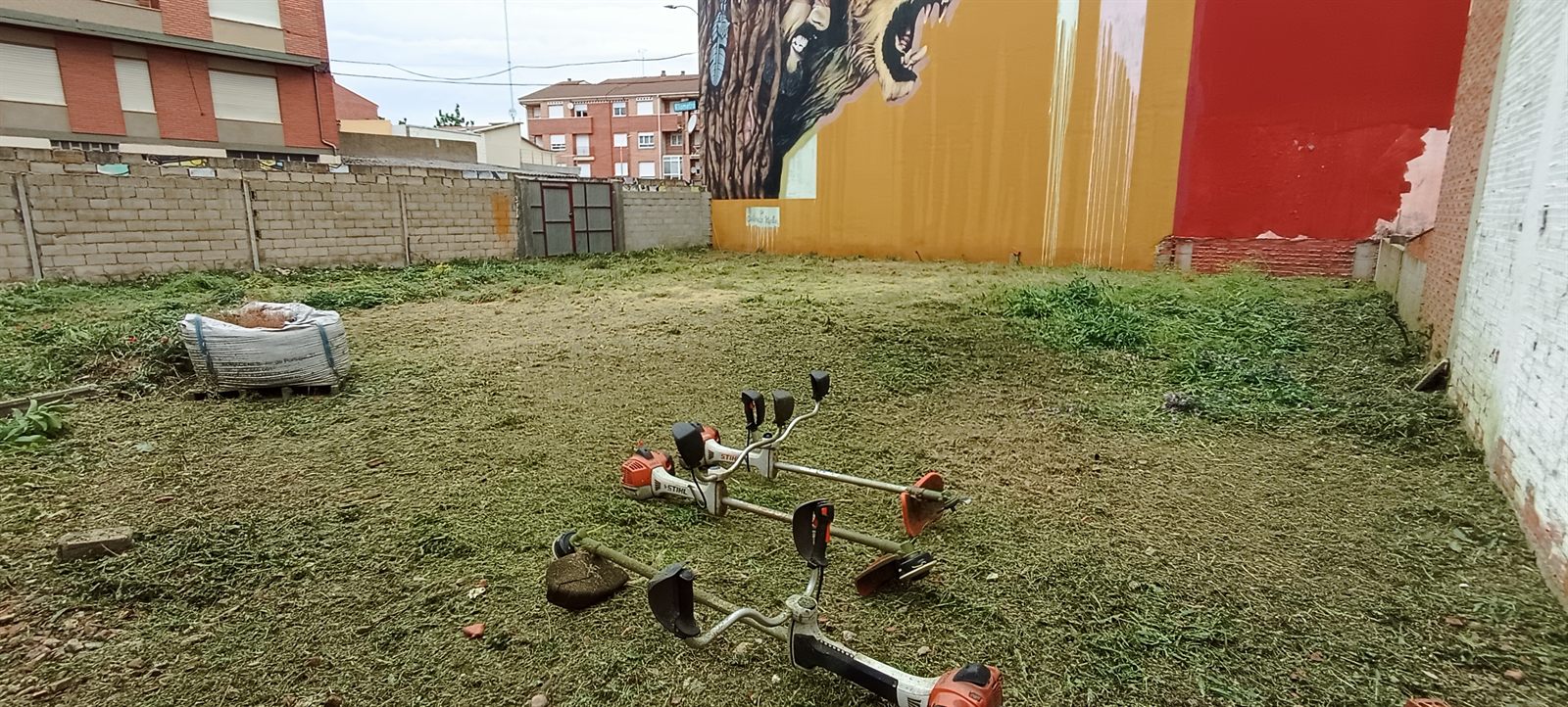 Después: solar desbrozado